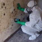 Phoenix Mold Remediation: Kill Molds Effectively